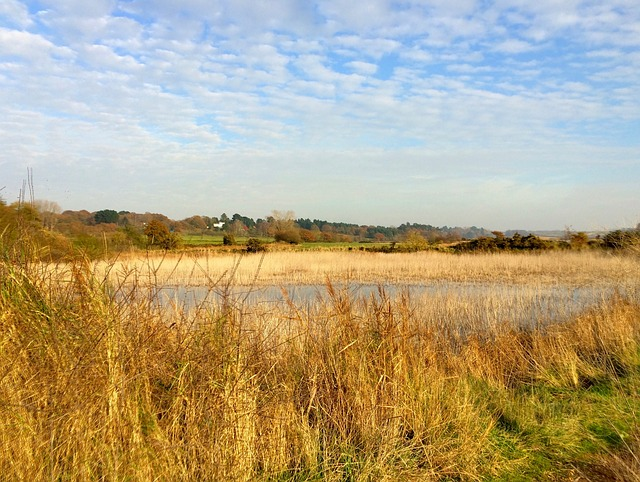 The River Orwell