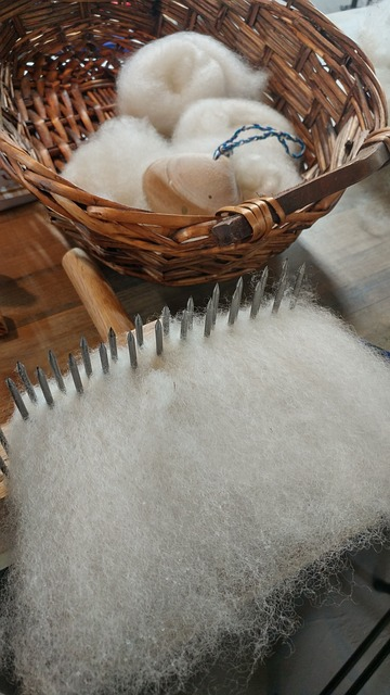 Carding wool