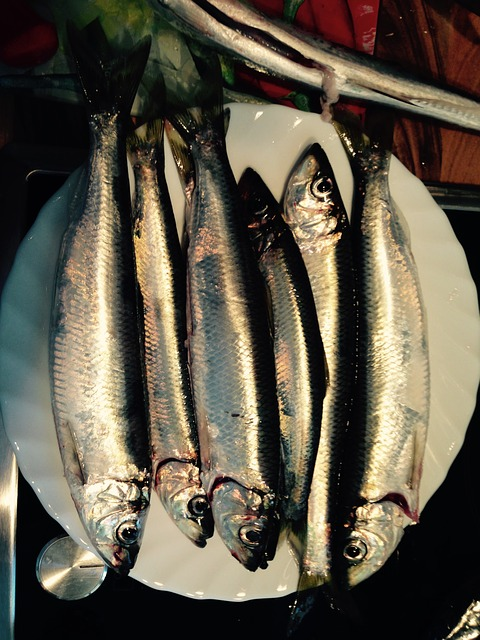 Herrings on a plate