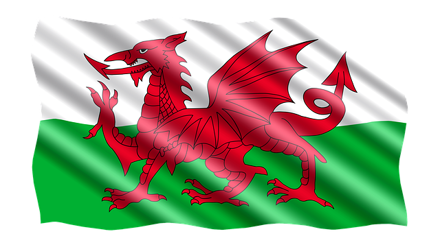 A Welsh flag