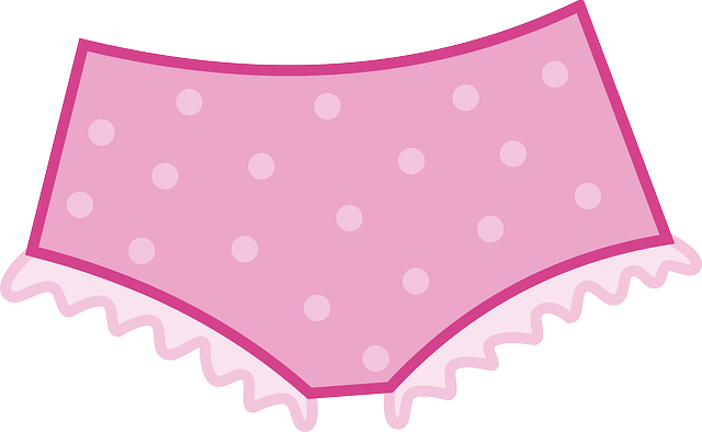 A pair of knickers