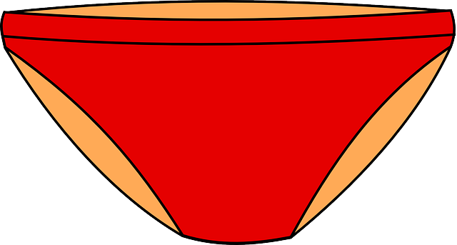 Where did the word 'Panties' come from in describing underwear