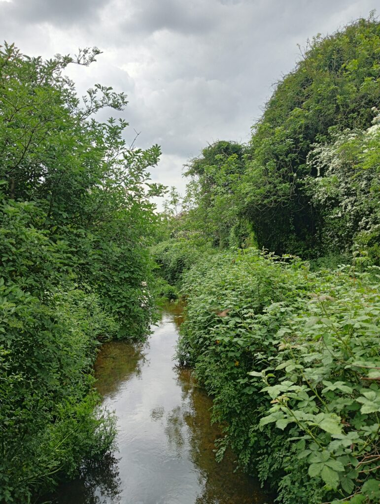 A stream in Romsey