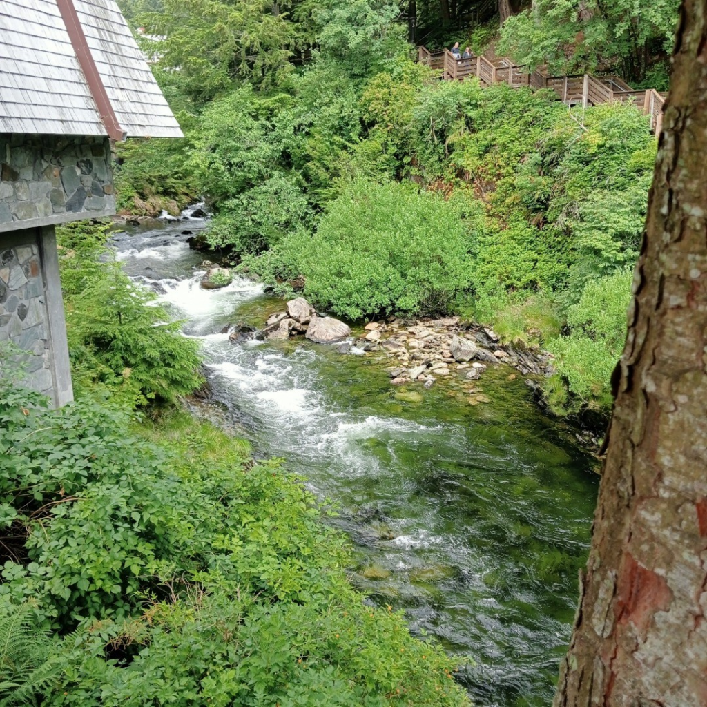 A stream in Ketchikan