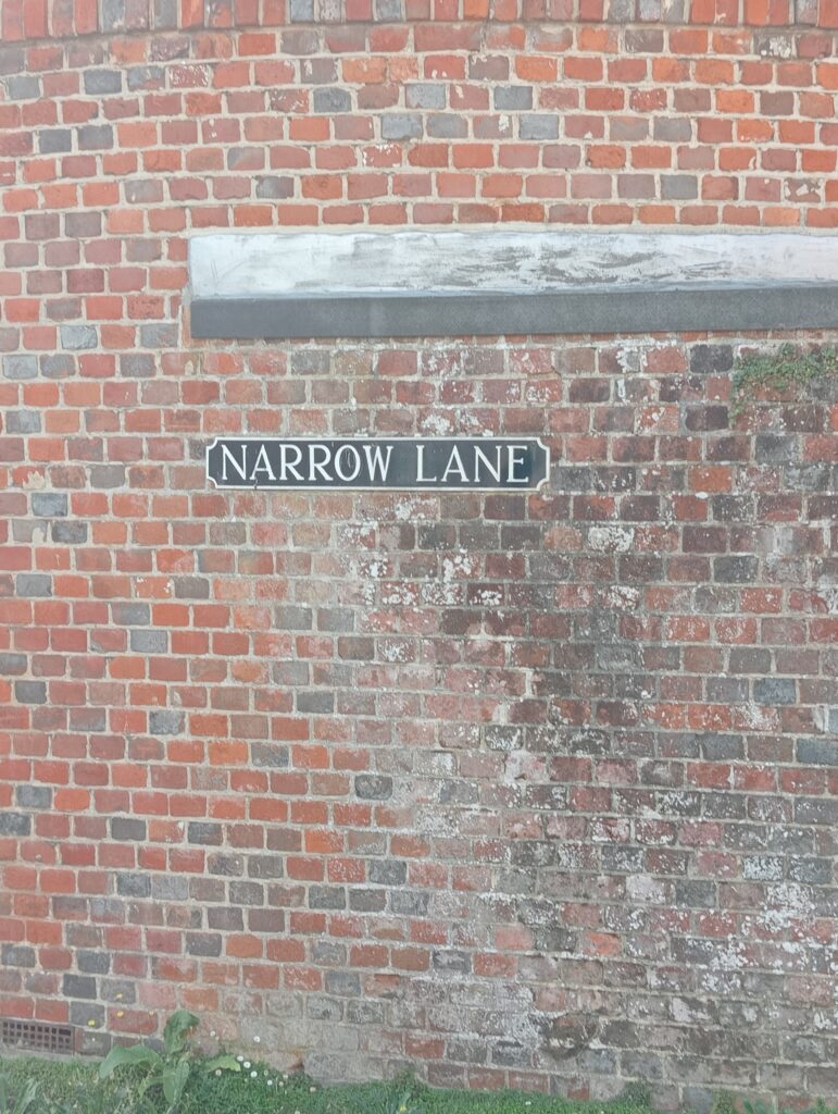 Narrow Lane