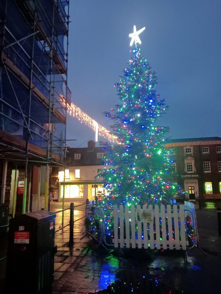 Petersfield Christmas Tree