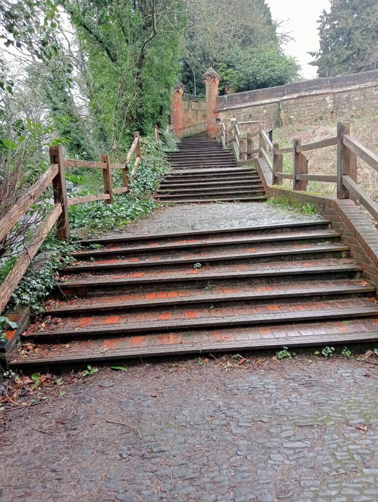 The Bishop's Steps in Farnham